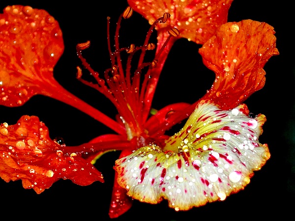 After rain…