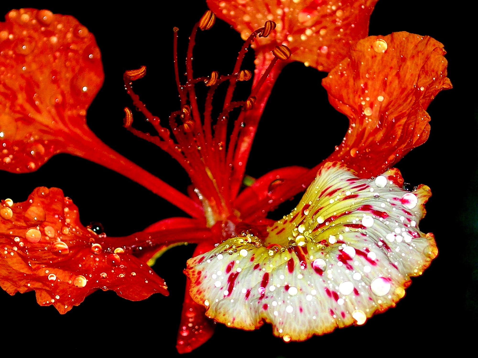 After rain…
